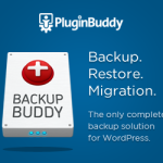Backupbuddy Plugin